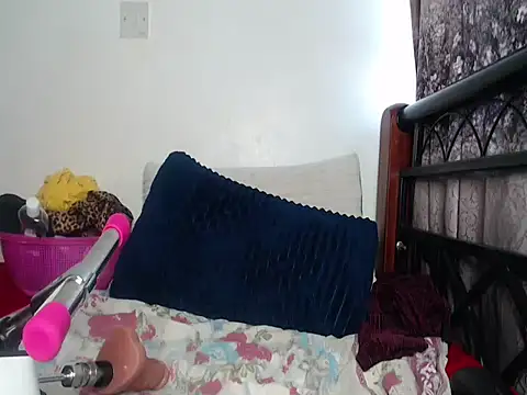 Whimsicalwillow webcam