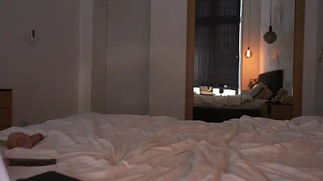 ibiddi webcam
