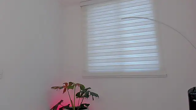 SavannahWildee webcam
