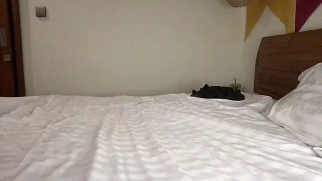 teddy_alan webcam