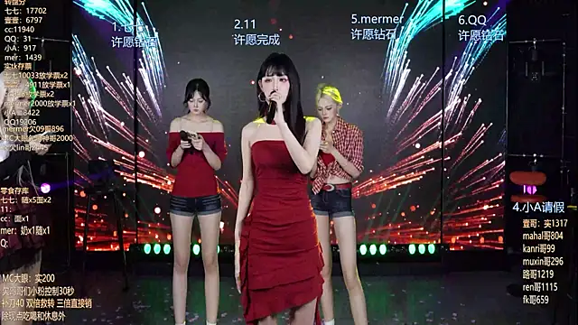 SK010 webcam