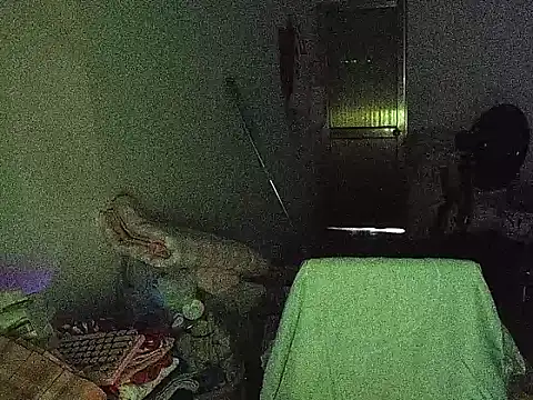 RebelAura webcam