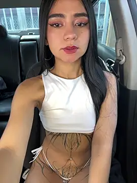 Dakota-fire webcam