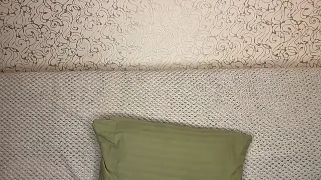 Shinin_Robi webcam