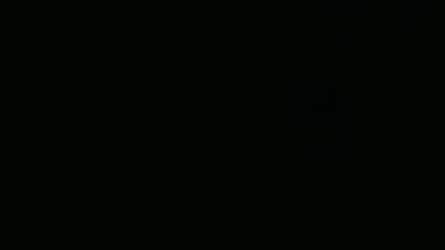 Oynyx webcam