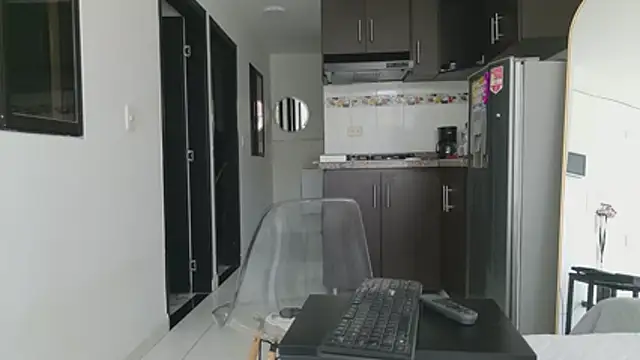 grey___27 webcam