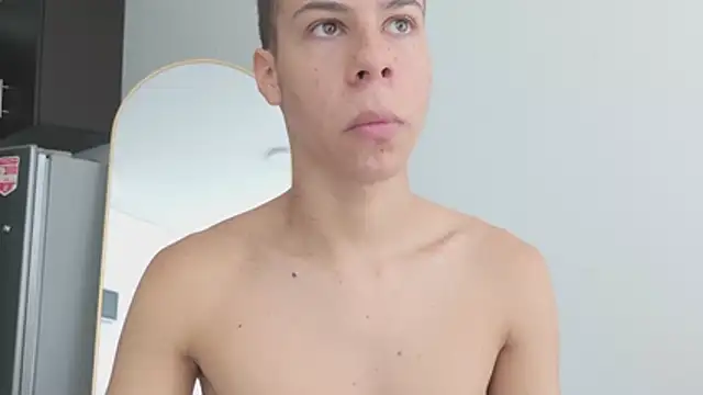 grey___27 webcam