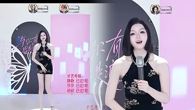 TY-002 webcam