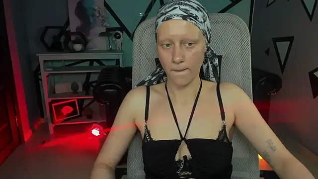 LidaDarknet webcam
