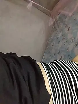 Biva11 webcam