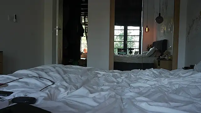 ibiddi webcam