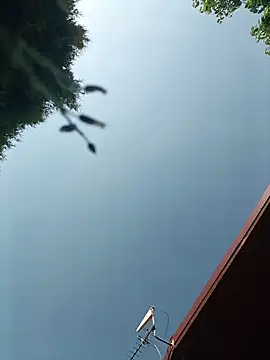 bigcock_marusz
