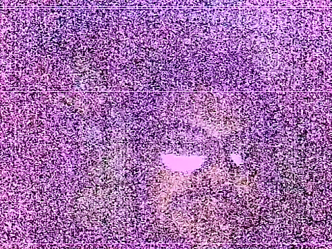 elturcudito webcam