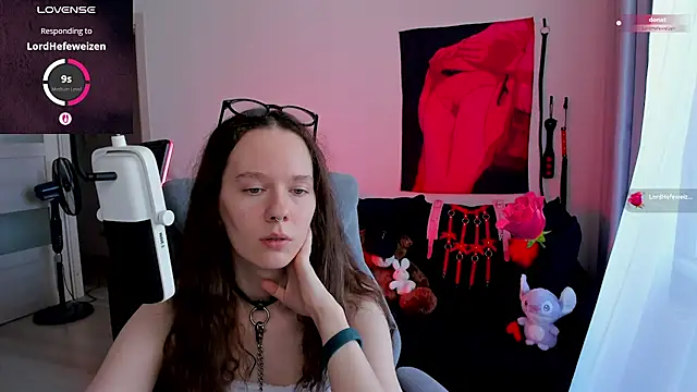 Vulgar_Tamer webcam