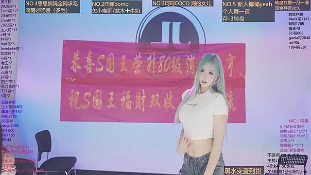 Sw-001 webcam