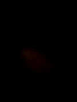 S7LEALTADPERVLIMA7 webcam