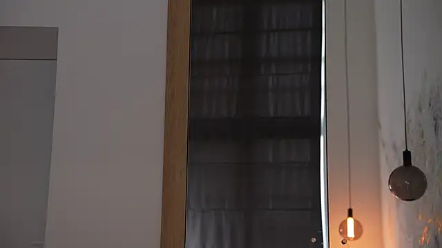 ibiddi webcam