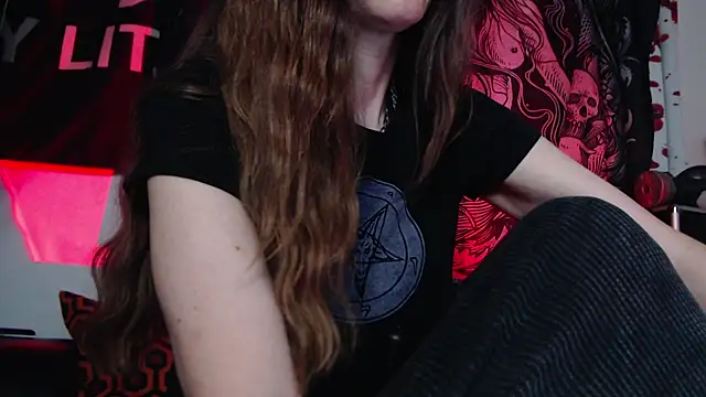 Silentmary webcam