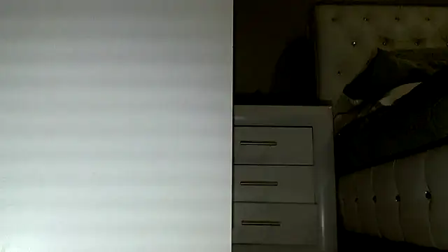 NewBeginnings8 webcam