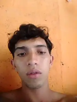 Noscay webcam