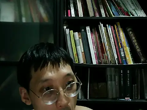 Lv8763 webcam