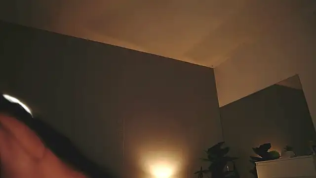 ValexieLux webcam