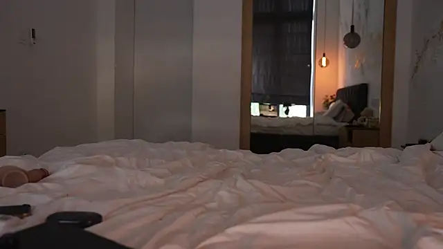 ibiddi webcam