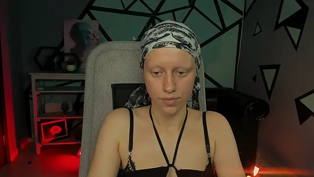 LidaDarknet webcam