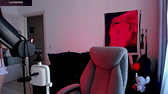 Vulgar_Tamer webcam