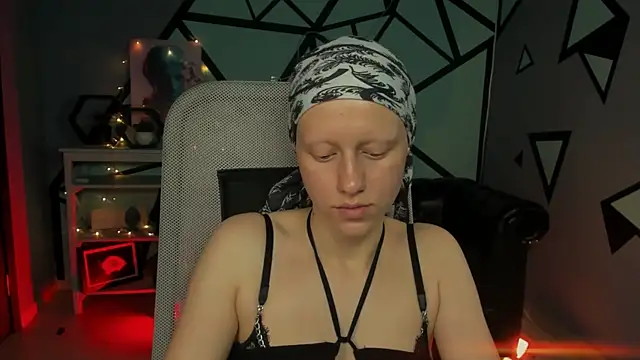 LidaDarknet webcam