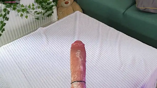 bllowwoww webcam