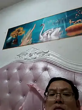 GG-0021 webcam