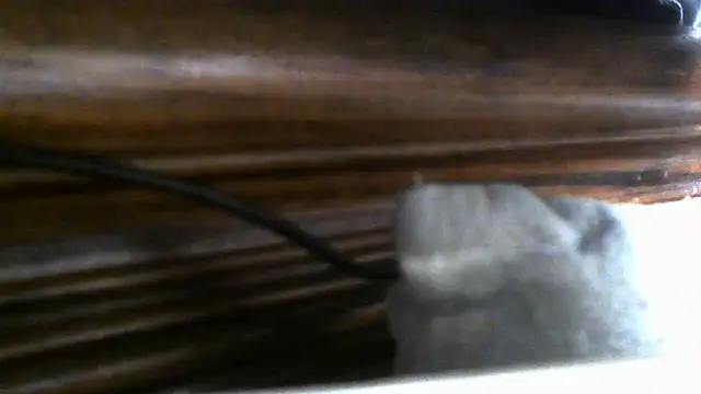crassanova webcam