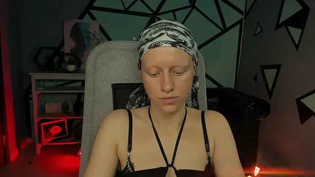 LidaDarknet webcam