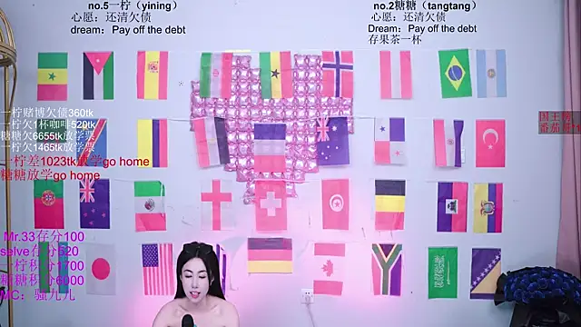 CCTW-100 webcam