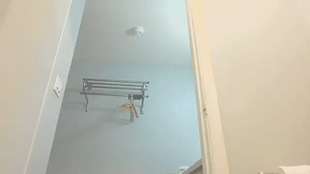 Yankeedave420 webcam