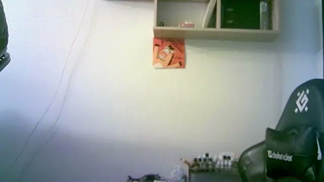 SirAbuser webcam