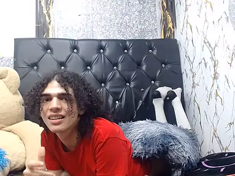 isa_x18 webcam