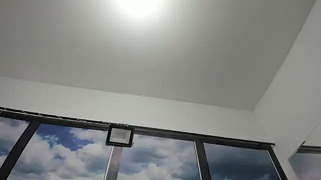 DilanAndKing webcam