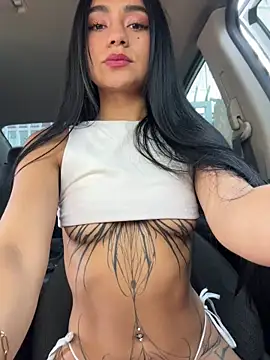 Dakota-fire webcam