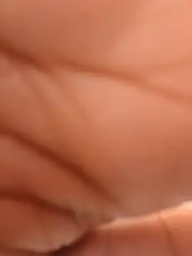 Sexyportable-2 webcam