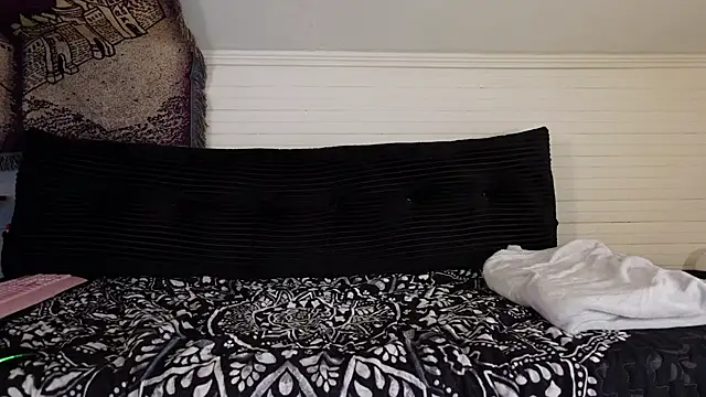 -khayaparker webcam