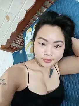 Lynk2x webcam