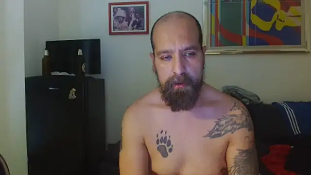 AMIRDIB2025 webcam