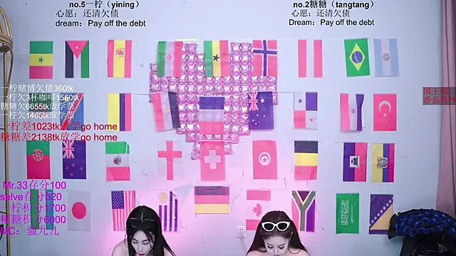 CCTW-100 webcam