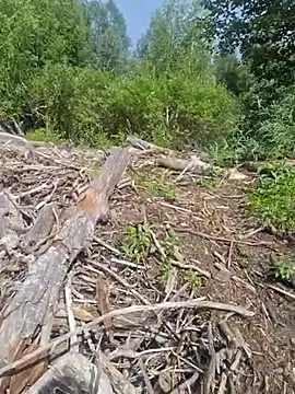 tangafun (Ask my age) - #bisexuals #blondes #cam2cam #cheapest-privates #hd #medium #mobile #new #outdoor #sex-toys #small-audience #smoking #swiss #white