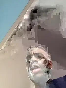ReallyReallyReal webcam