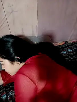 Nul_chal webcam