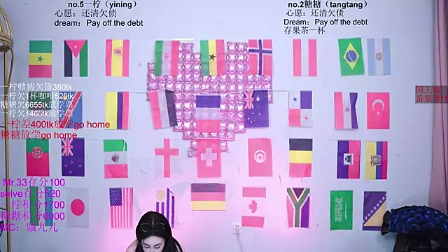 CCTW-100 webcam