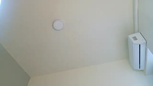 LexaDominant__ webcam